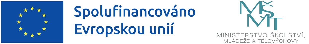logo_EU_MSMT.jpg